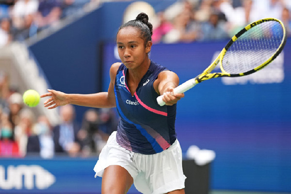 领域也有着 领域也有着