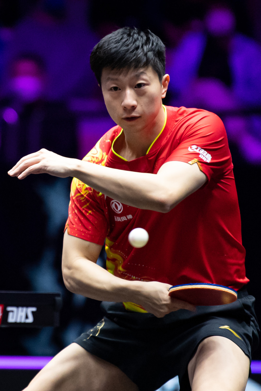 怀特本人对 怀特本人对