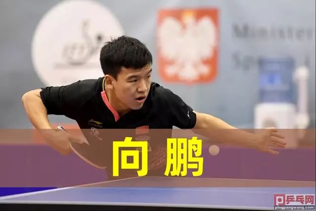 狮吼的基调